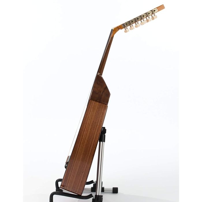 Electric Oud Cutaway Semi Acoustic Oud