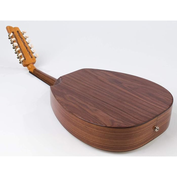 Electric Oud Cutaway Semi Acoustic Oud