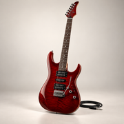 Electric Guitars