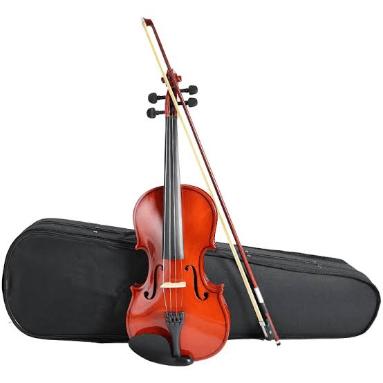 Violin