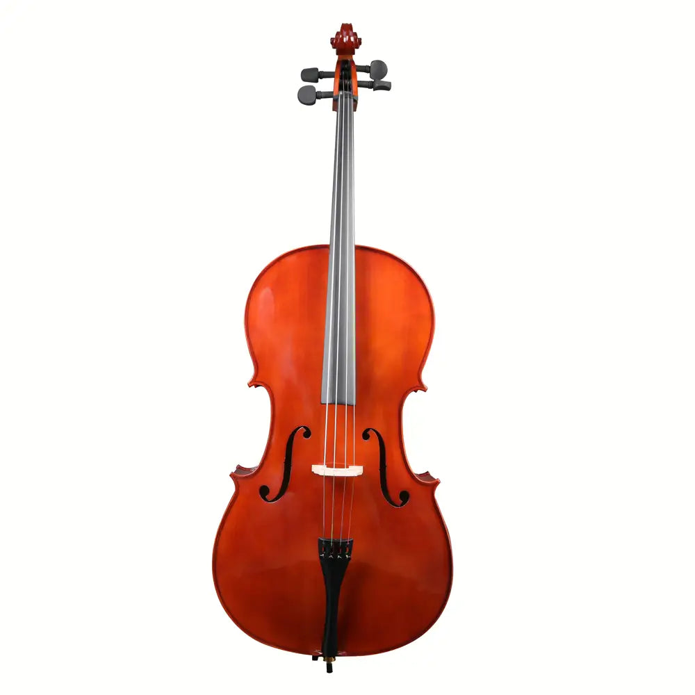 Violin on a white background