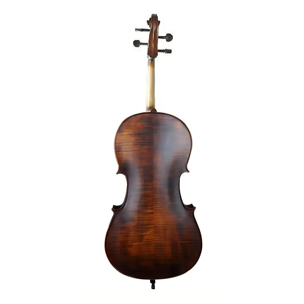 Violin on a white background