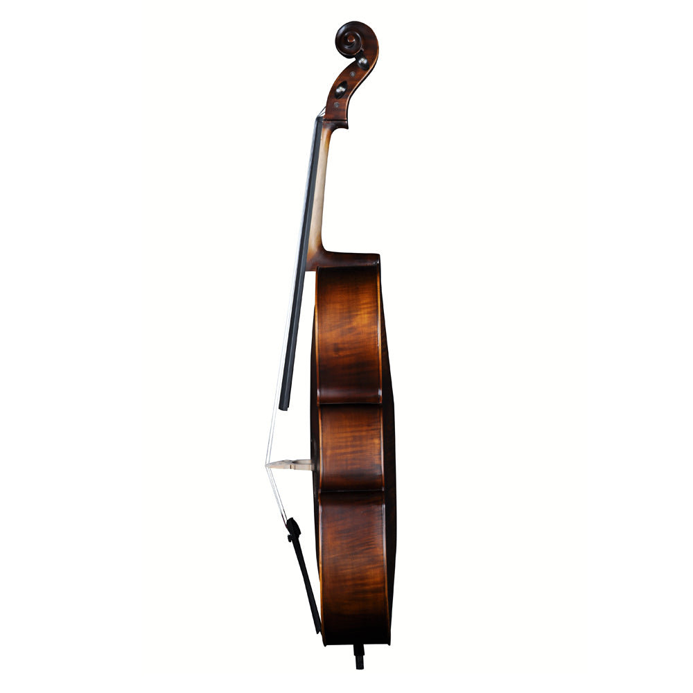 Violin on a white background