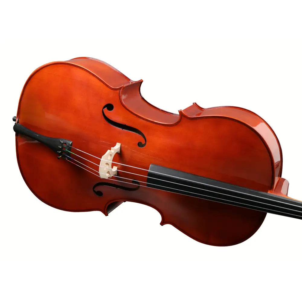 Violin on a white background