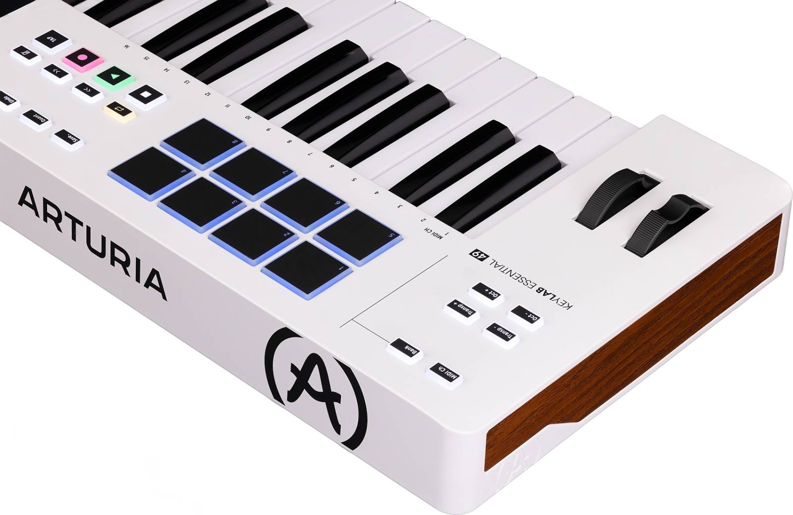 Arturia keyboard controller with black and blue keys on a white background