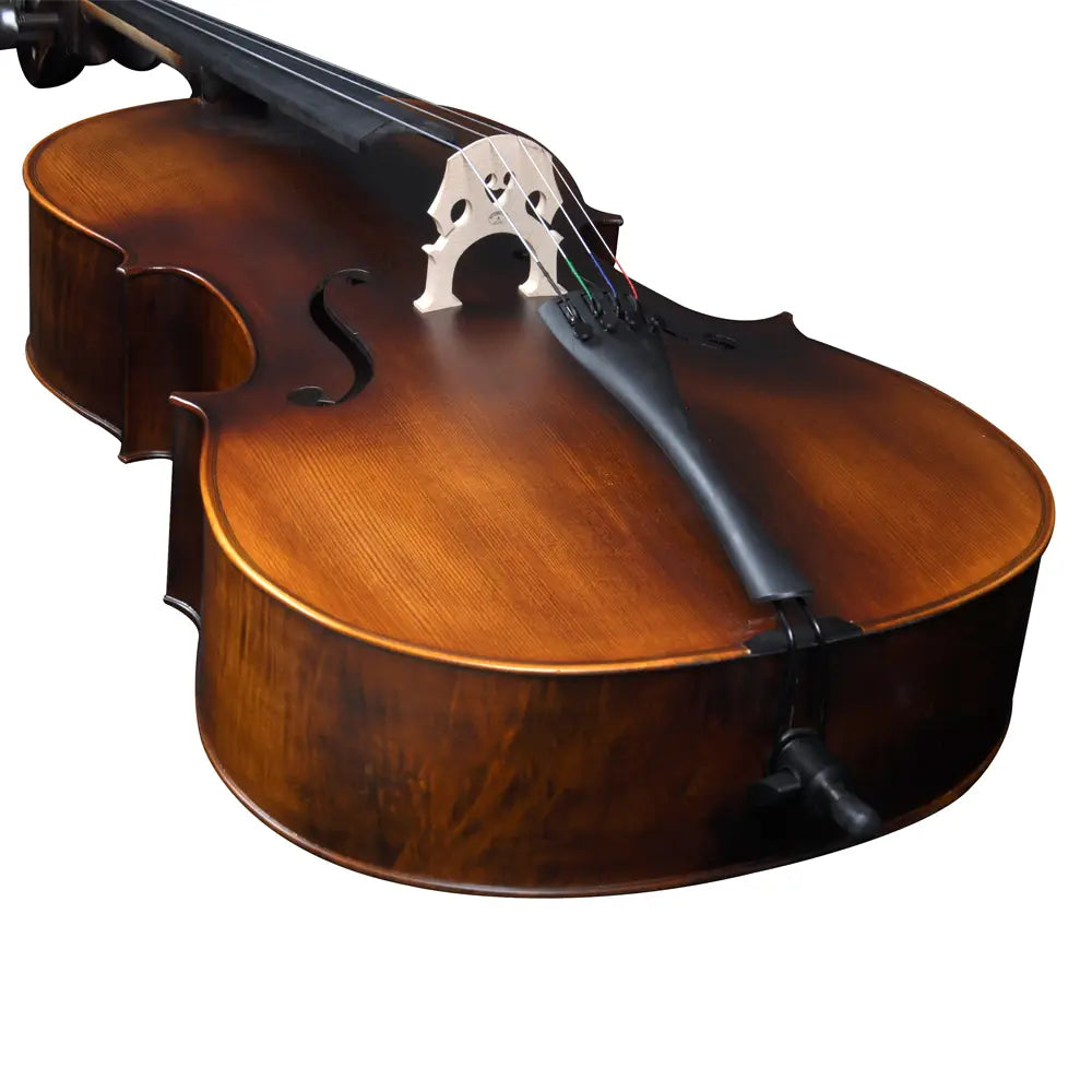 Close-up of a cello on a white background