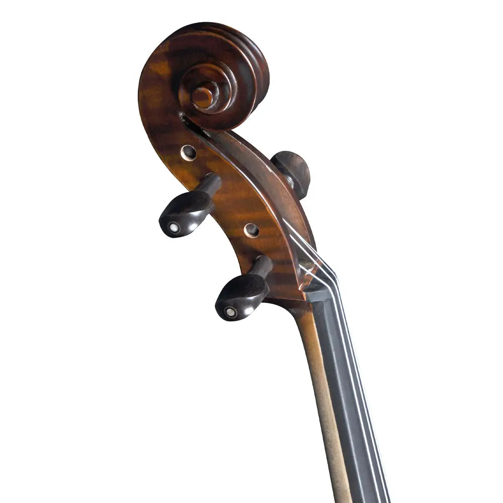 Close-up of a cello's scroll and neck on a white background