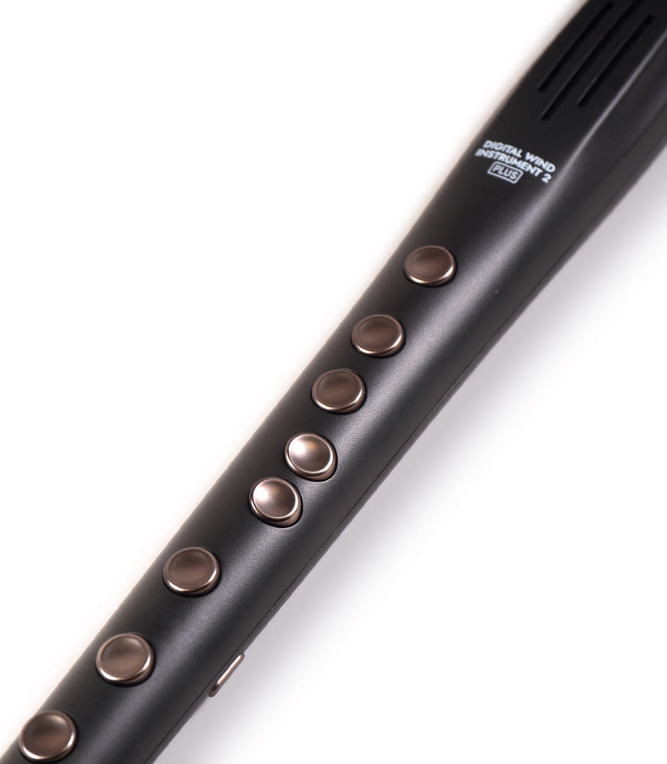Black flute with brown buttons on a white background