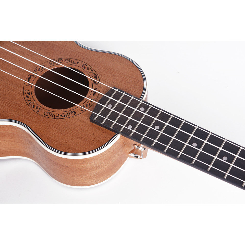 Close-up of a ukulele on a white background