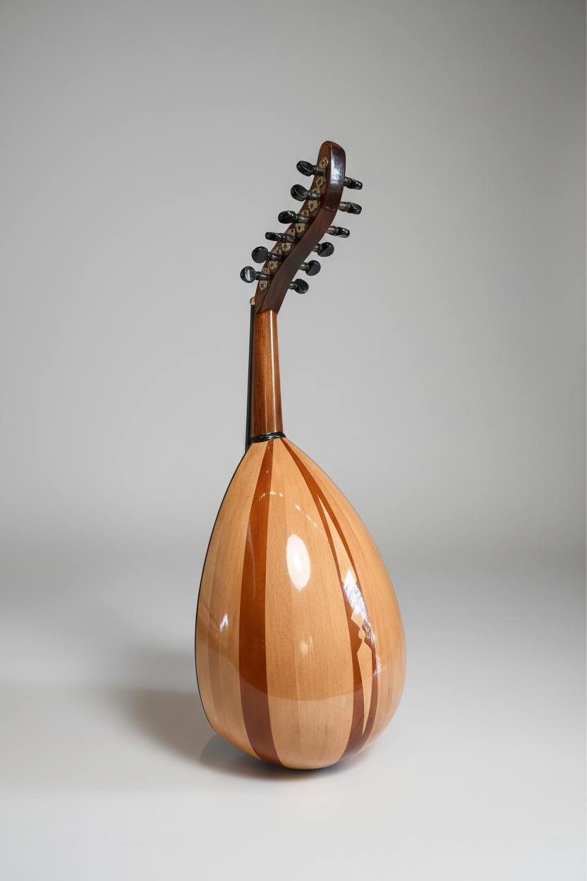 EGY Oud for Beginners
