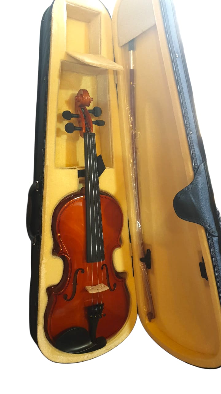 chinese violin