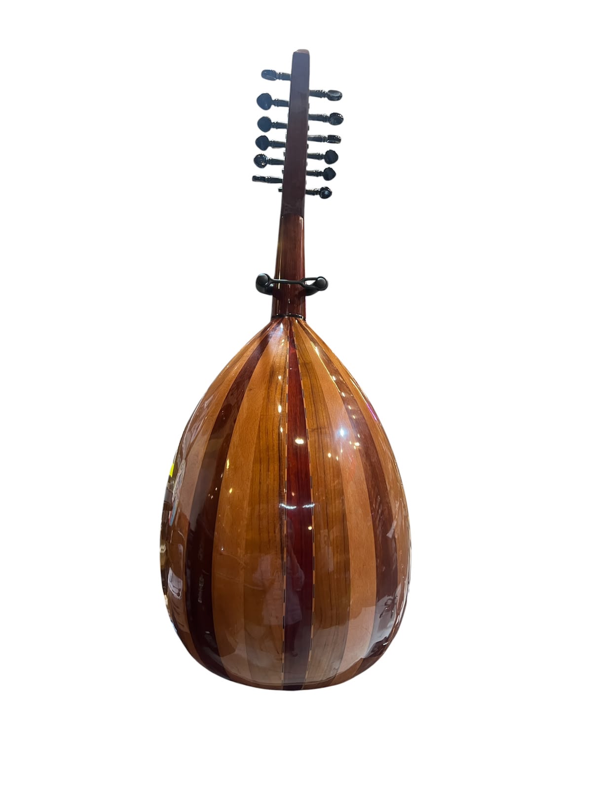 Oud Instrument HLX - EGY