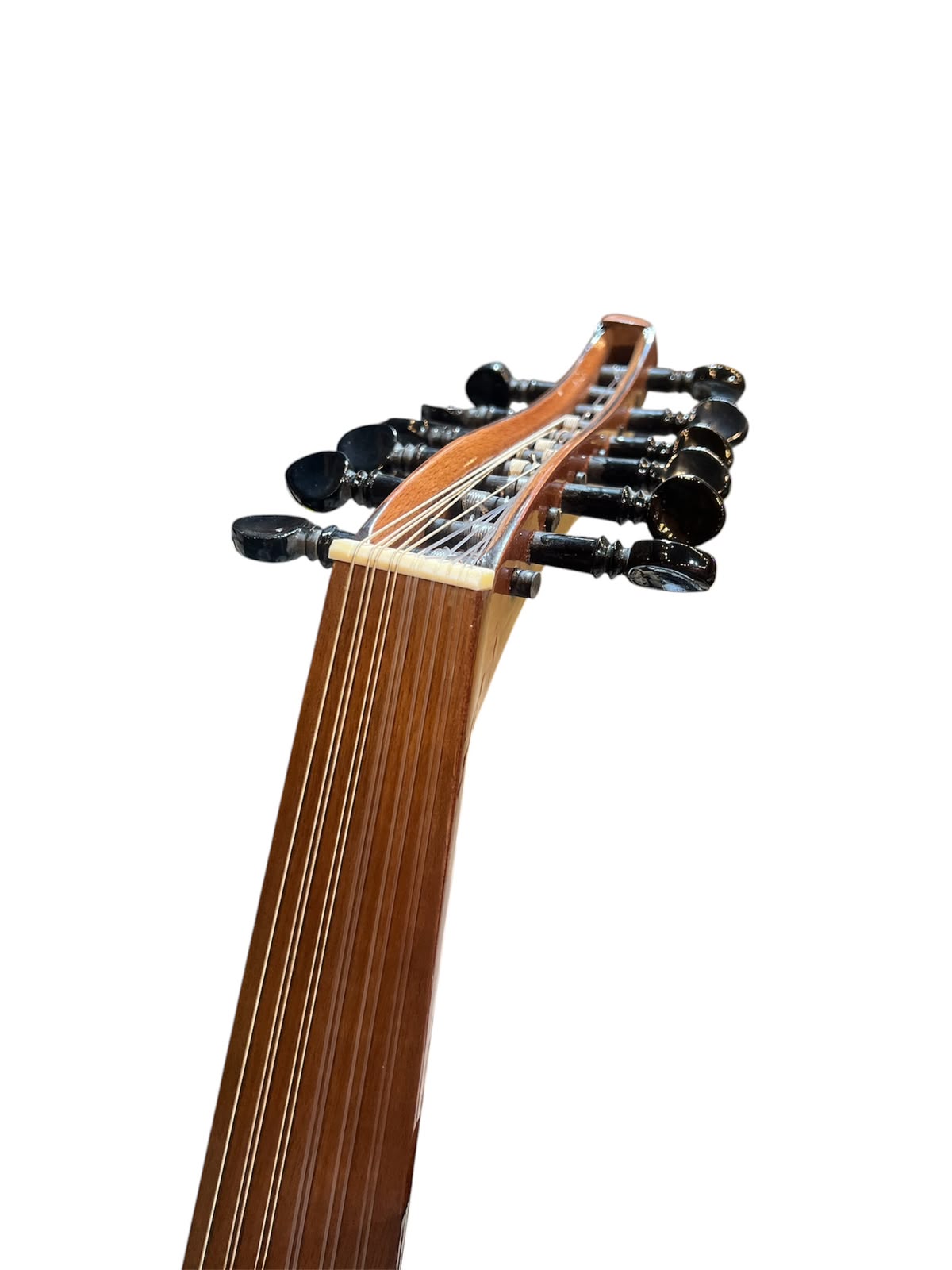 Oud Instrument HLX - EGY