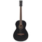 IBANEZ PN14 MHE-WK ACOUSTIC GUITAR