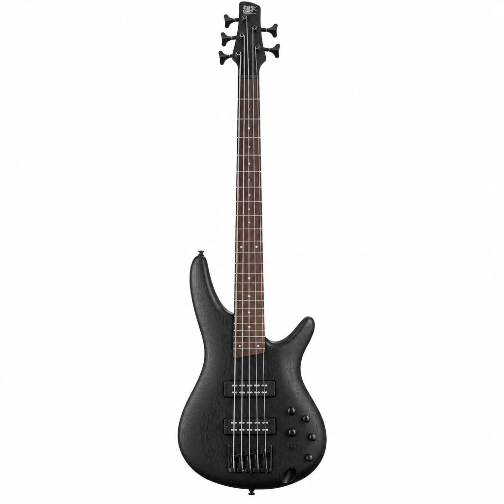 Ibanez SR305EB-WK Weathered Black five-string electric bass guitar, straight front view