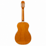 Grape 38-inch natural acoustic guitar, straight back view showing the natural wood finish