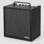 Three-quarter view of the Ibanez IBZ10GV2 amplifier showing the front grille, handle, controls, and cabinet side.