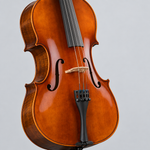Close detail of the unbranded HC516 4/4 cello showing the body, bridge, strings, fingerboard, and tailpiece